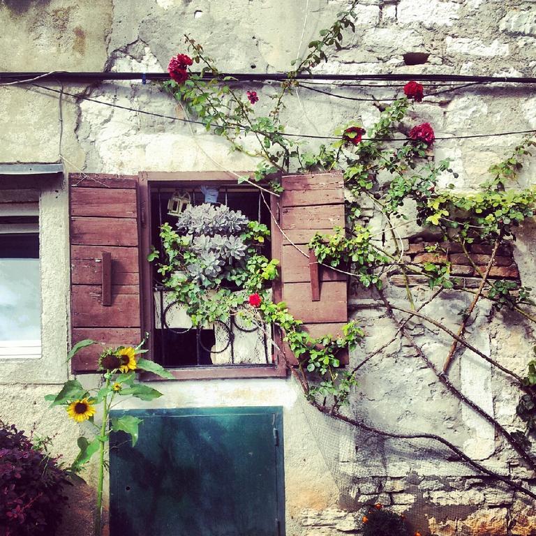 Villa Segalla Rovinj Bagian luar foto